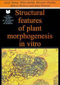 Structural features of plant mophogenesis in vitro
