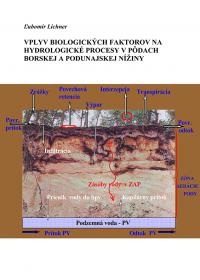 Vplyv biologických faktorov a hydrologické procesy v pôdach Borskej a Podunajskej nížiny